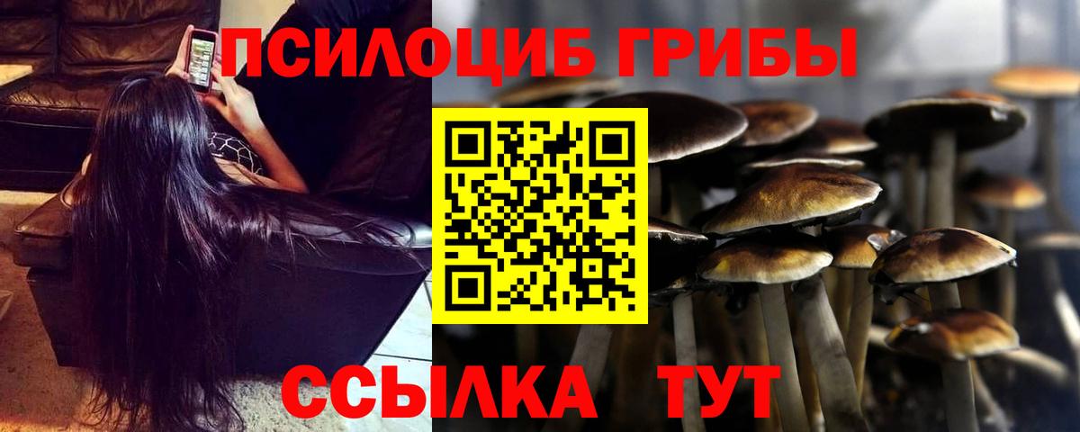 Галлюциногенные грибы Psilocybe  Галлюциногенные грибы Magic Shrooms  Вольск  Вход с VPN 